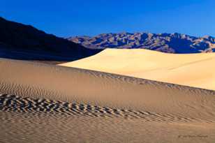 Mesquite Dunes-6167.jpg